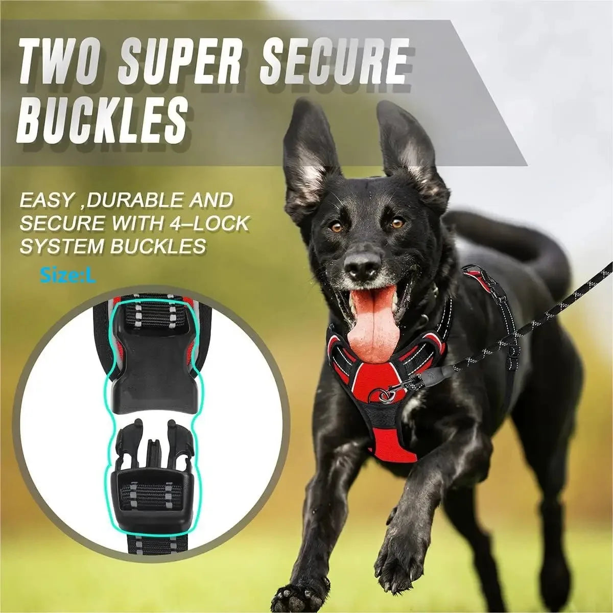 Premium Dog Harness Set