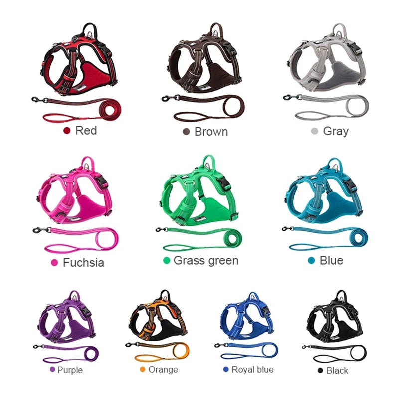 Dog Harness and Leash Set