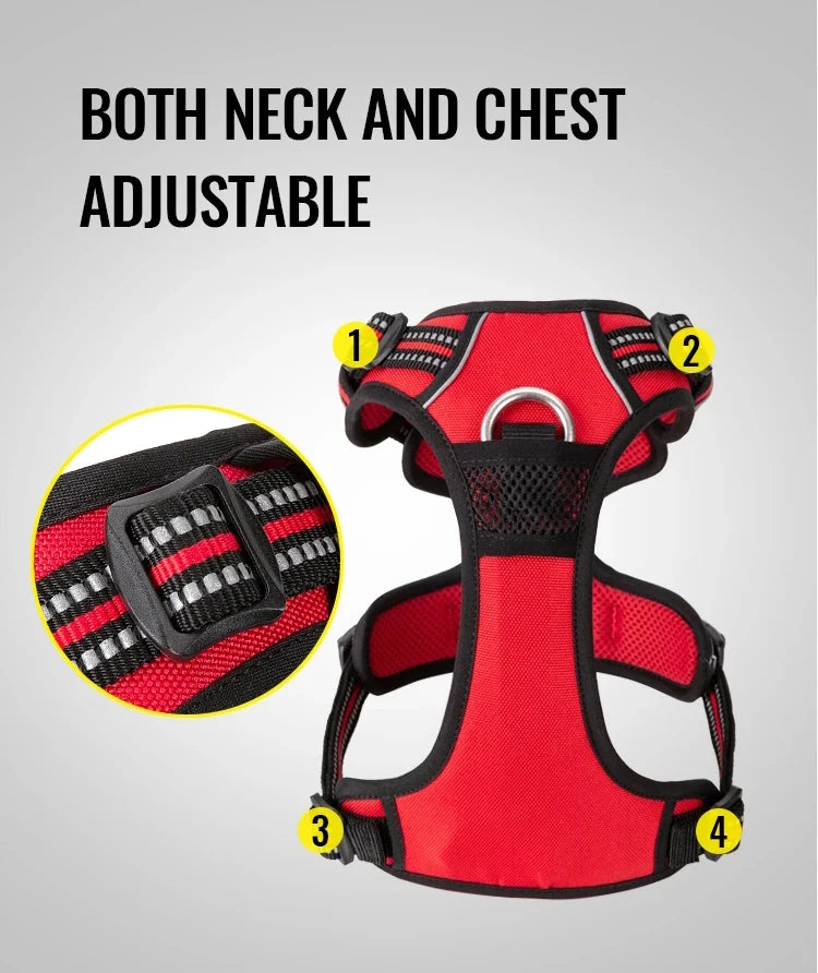 Dog Harness and Leash Set