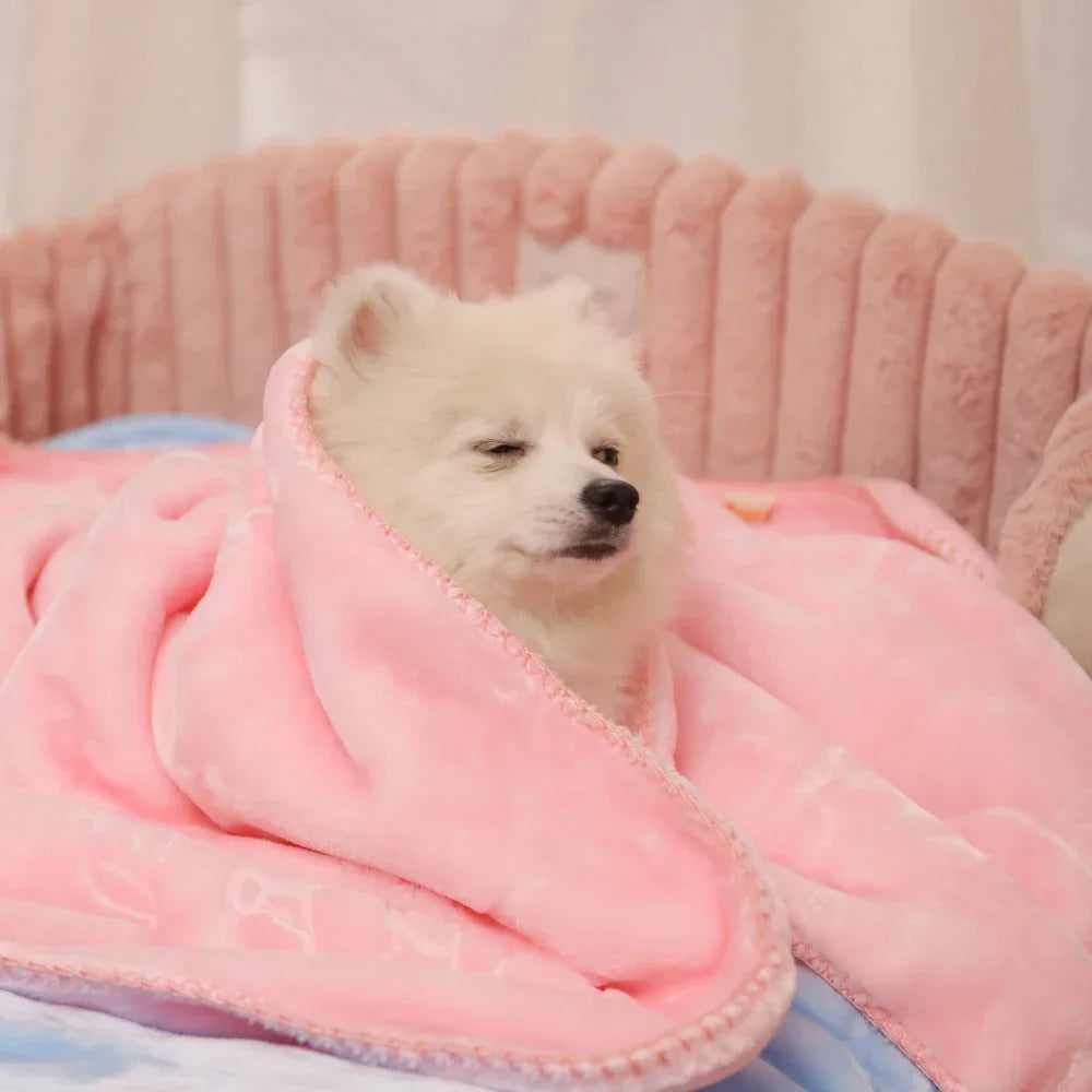 Plush Pet Blanket