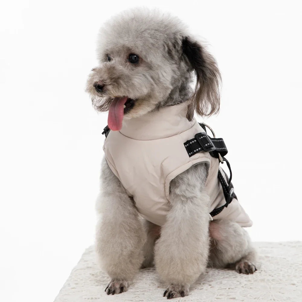 Dog Windbreaker Jacket with Leash