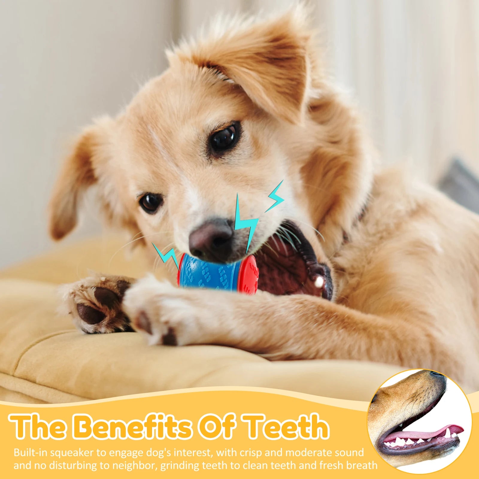 Squeaky Dog Ball Toy Set