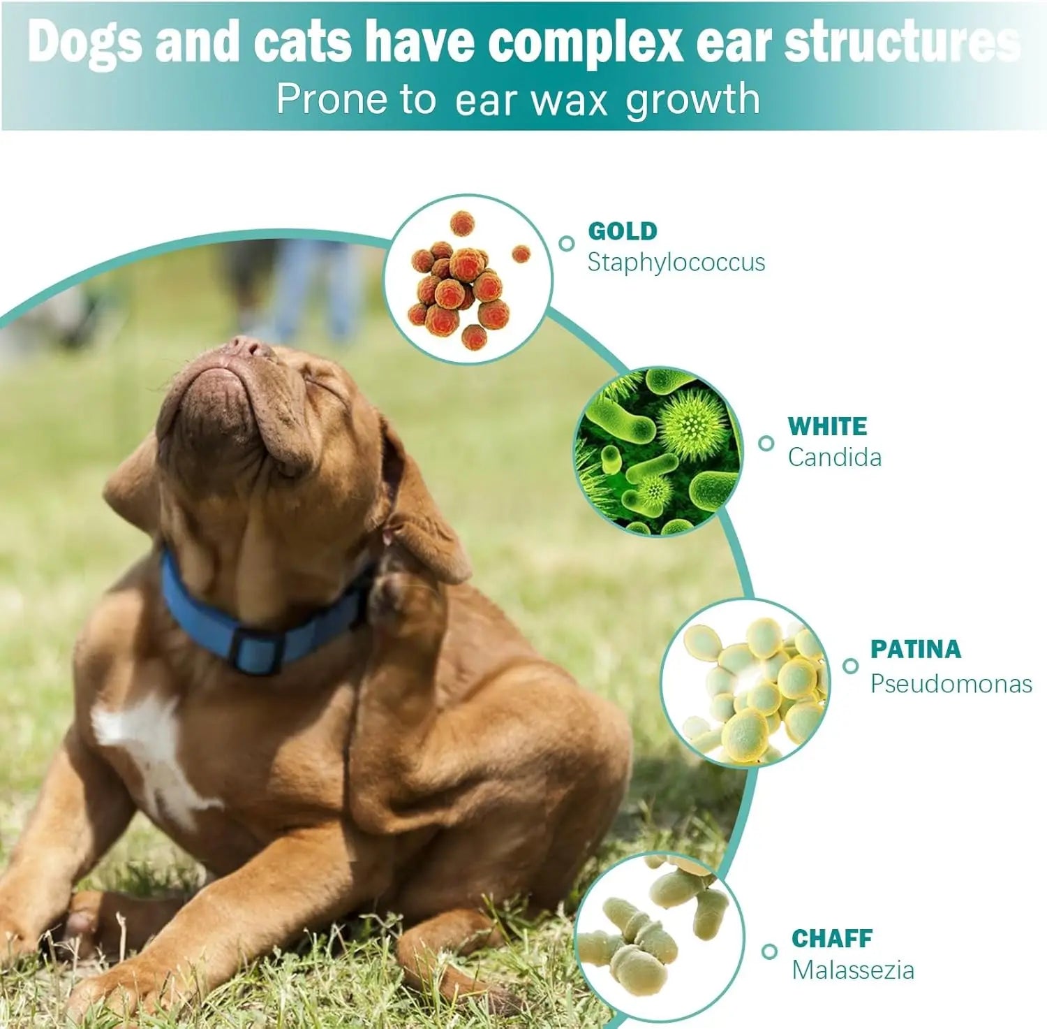 Dog Ear Wipes, Ear Cleaner Finger Wipes for Dogs