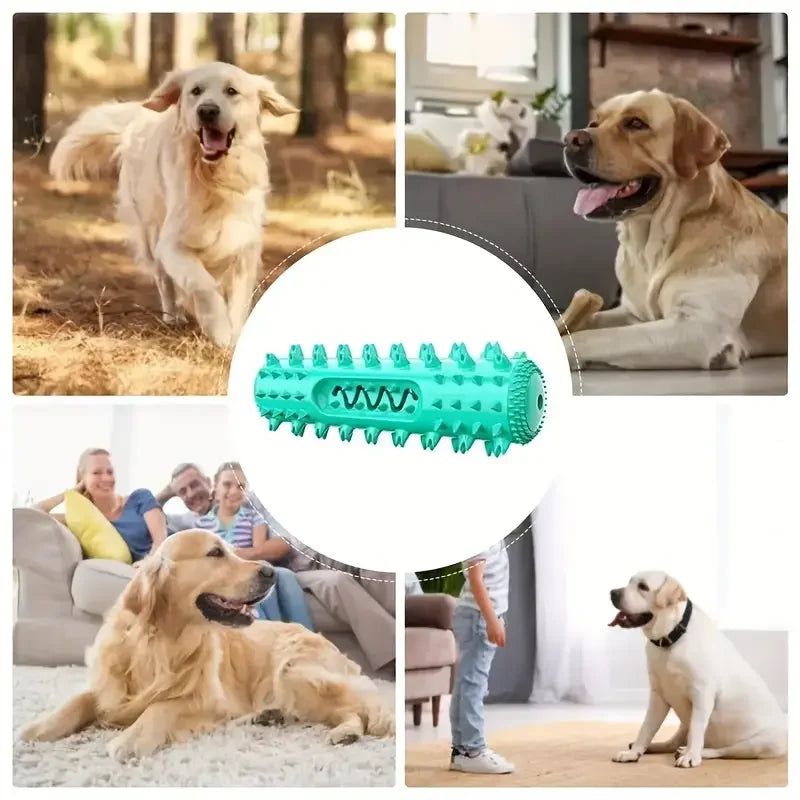Dog Dental Chew Toothbrush Toy