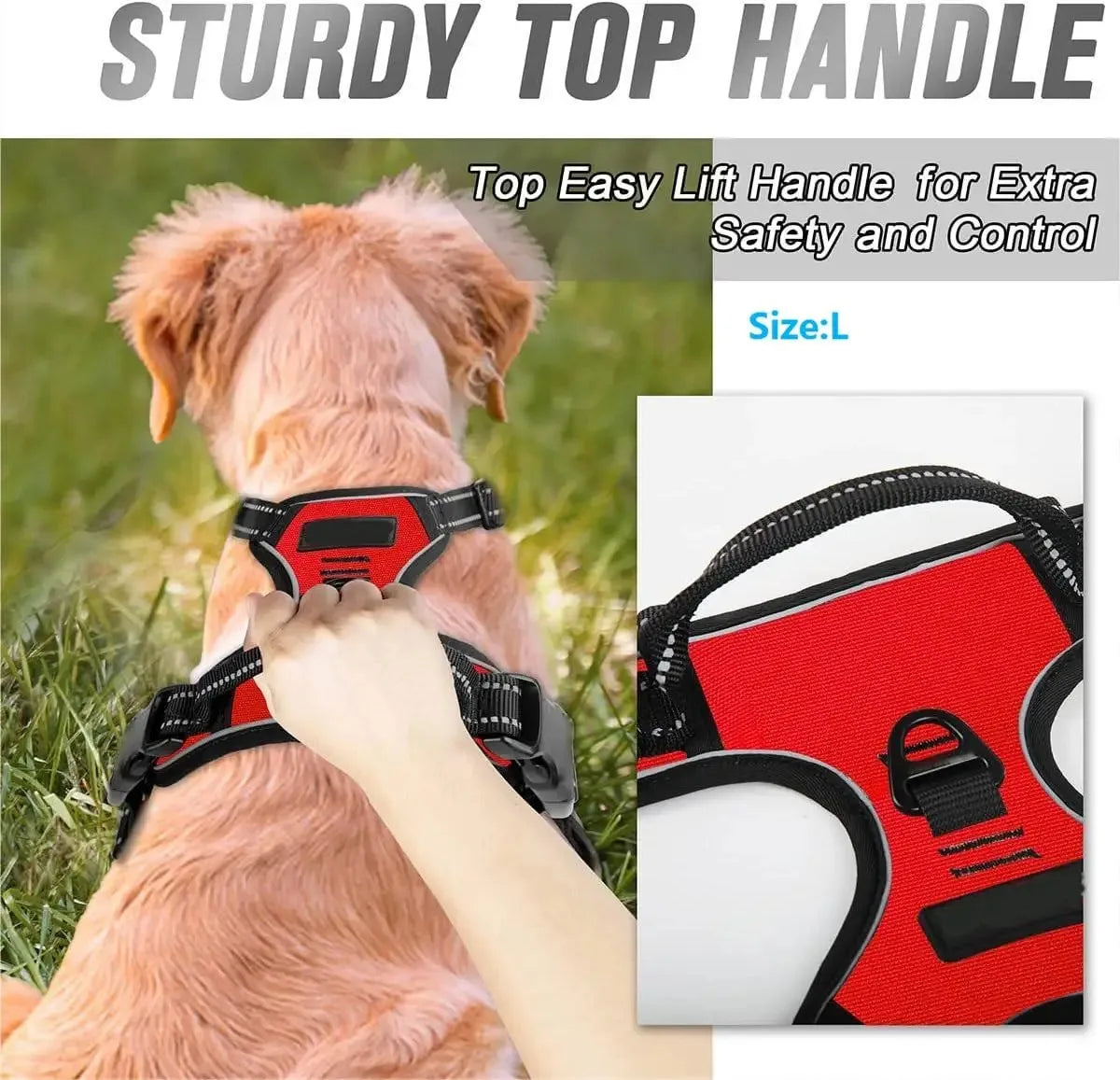 Premium Dog Harness Set